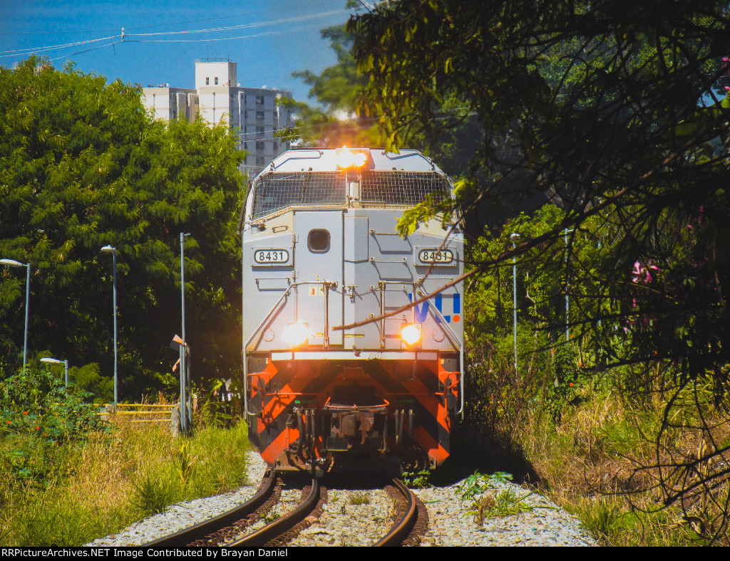 VLI 8431